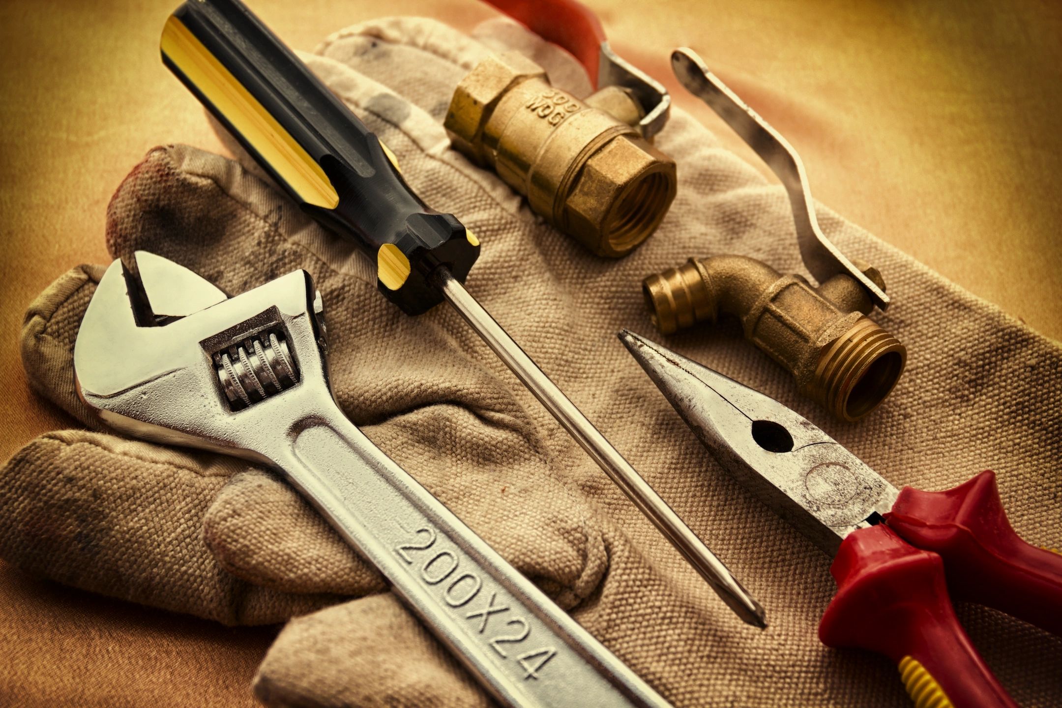 Professional service